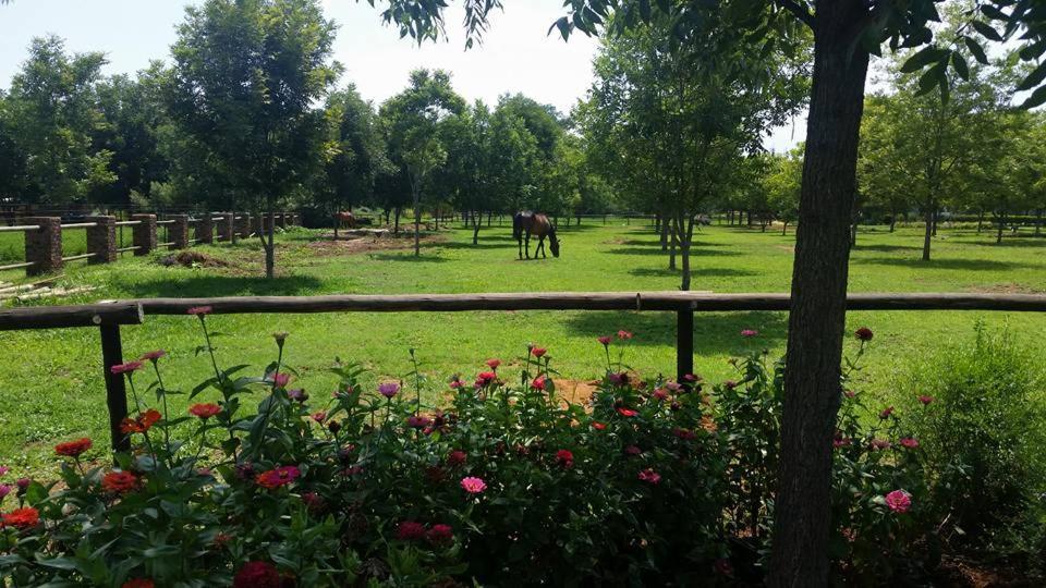 Skeerpoort Green Willows Guest House מראה חיצוני תמונה